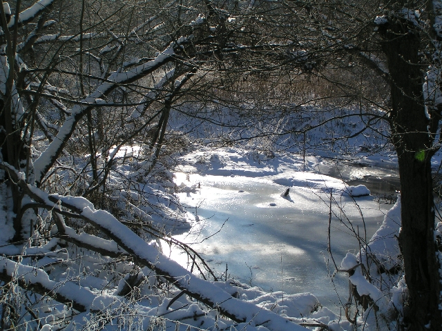 Schlittschuhteich ;-)