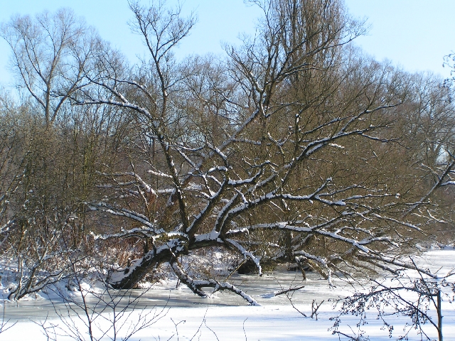 Zu schwer war die Last