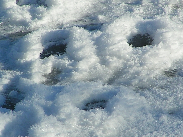 sieht auf jeden Fall witzig aus
