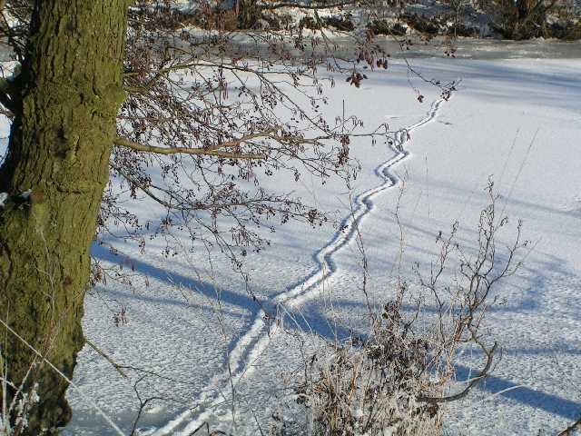 noch mehr Spuren ...