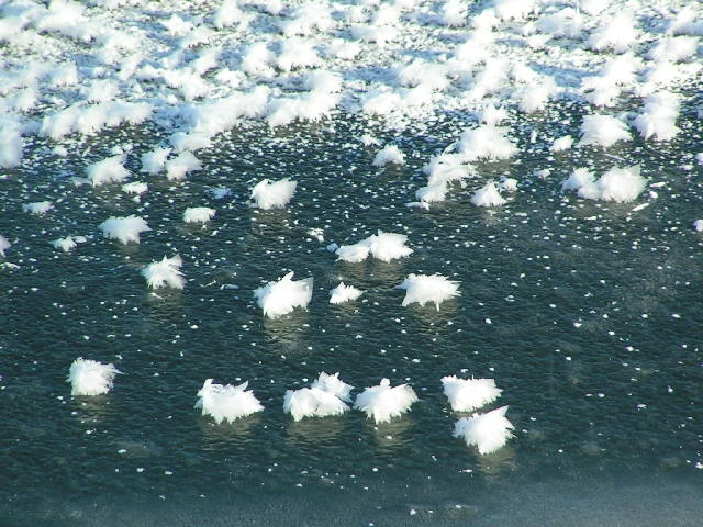 ... von Watteb�uschen