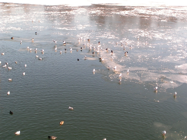 W�r mir vieeeeeeel zu kalt!